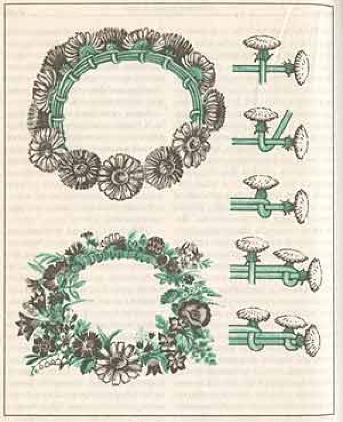 Flower crown guide: Flower crowns can be made by placing base flower stem perpendicular to the flower to be added, then wrapping the new flower around the base flower's stem (and any other stems already in the crown), then up over new flower and parallel to the base flower. This newly-added flower now becomes the base flower for the next flower. Further flowers can then be added to the finished product for extra flair.