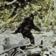 The famous (hoax) picture of Bigfoot