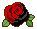 A red rose with a heavy, diagonal black shadow, representing Anarcho-Communism