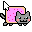 Nyan Cat