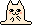 A cat does the splits