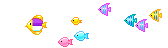 Tropical fish swim back and forth