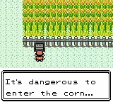 A passer-by reads a sign that warns 'It's dangerous to enter the corn'. Something is moving towards the person through corn field behind the sign.