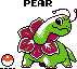 Pear the Meganium
