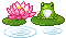 A frog on a lily pad and a pink lotus