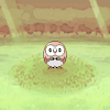 Rowlet waiting to be selected