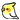 A sulfur-crested cockatiel