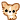 A chihuahua