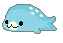 A blue baby seal