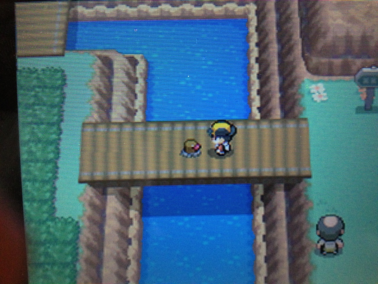 A diglett has somehow tunneled up into a bridge in HGSS.